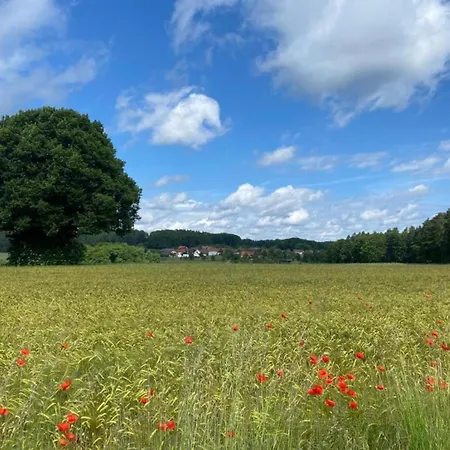 Detached In An Idyllic Quiet Location *